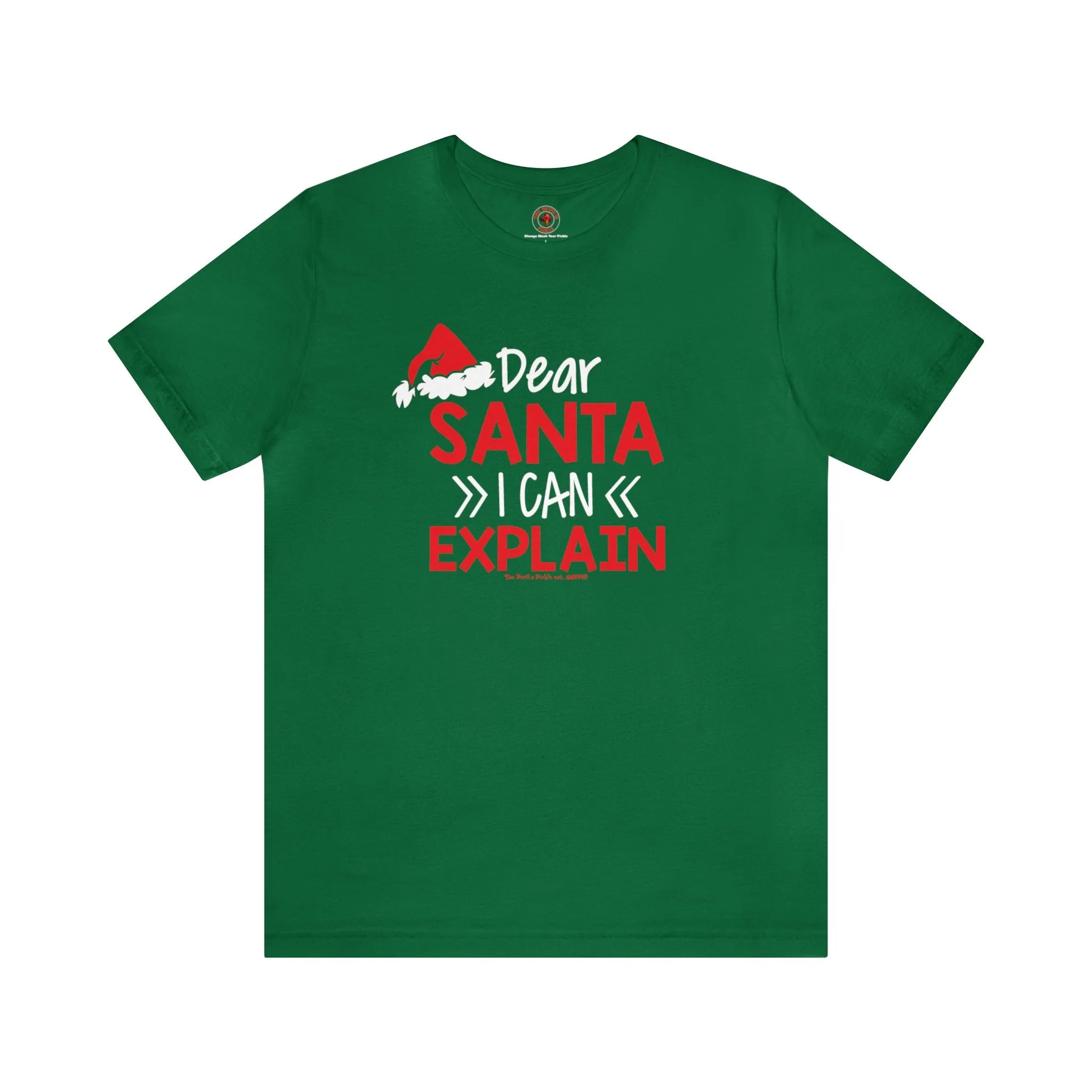 Dear Santa I Can Explain T-Shirt