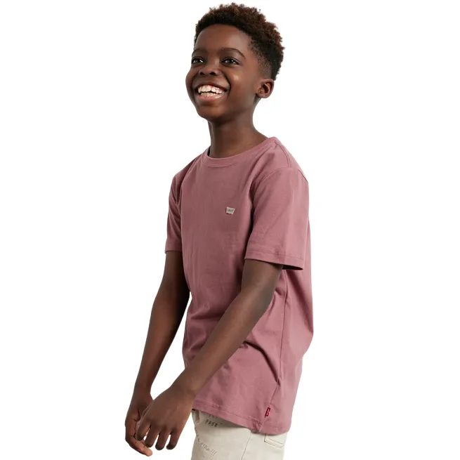 Levi's Kids short sleeve boys' t-shirt with Batwing Chest logo 8EA100-R90 brick